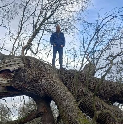 MrWoodface's profile picture. Wild, unmanaged land shows us possibilities beyond our cultural tunnel-vision