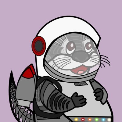 SpaceOtterNFT's profile picture. Coming soon!