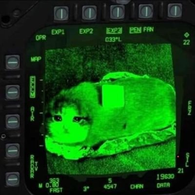 malaysian-centric content. kucing yang buat benda pelik2. tweet di sini ⅓ teknologi ⅓ kucing ⅓ shitpost. Since 2018. GMT 0/+1. lang: 🇲🇾🇬🇧🇩🇪