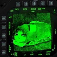kucingmilitari (@kucenmilitarimy) 's Twitter Profile Photo kucingmilitari (@kucenmilitarimy) 's Twitter Profile Photo