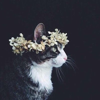 yangziwen1994's profile picture. 