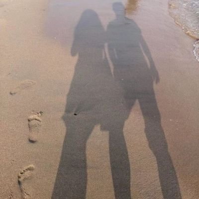 shutear's profile picture. 