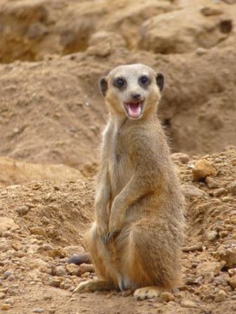 ezcoachUK's profile picture. Pro-UK, pro-animal, anti-hunting and cruelty, coach, cyclist and much more, KTF, life’s for living...now move on... 😍