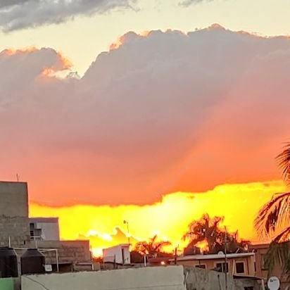 frases_intelect's profile picture. Yo no tengo na y todo el mundo es loco conmigo, la vacaneria habla por si sola ❤️