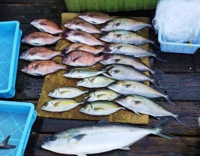 takaboo2005's profile picture. 佐賀県玄海町にある仮屋湾遊漁センターで釣りを楽しんでます!