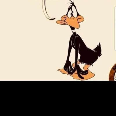 Sylvain41324548's profile picture. trop