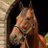 Twitter result for American Express from PPhoalsSH
