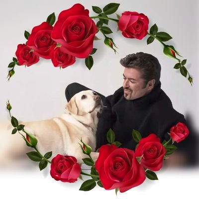 100% addiction by George Michael since chilllhood. I BORN TO LOVE YOU. I don't like violence to people,animals,nature...Not to racism,homophobia,xenophofia...