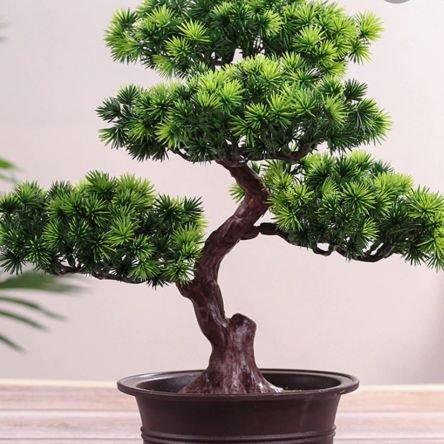 opathicalltime's profile picture. อยู่กับธรรมชาติต้องอยู่ให้ได้