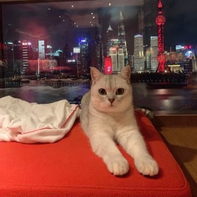 sky101688's profile picture. 目标A9