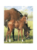 Stacey Ruddick (@ruddickstables) Twitter profile photo Stacey Ruddick (@ruddickstables) Twitter profile photo