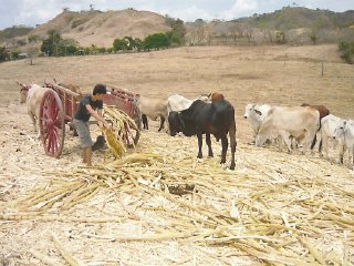 2807LS's profile picture. 