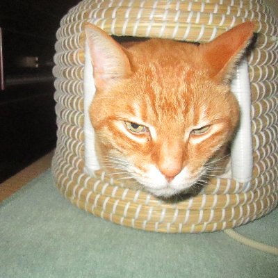 言いっぱ やりっぱ 想像交えてつぶやきます。 しかし汚い事大嫌い。もうすぐお迎え来る爺です。趣味は釣りと日本刀。基本無言フォローですみません。外国人のふりをした詐欺ツイートはブロックします。