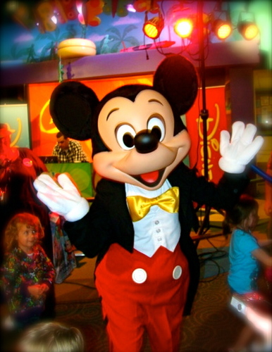 Plan For Disney helps you save tine and money as you prepare for a magical vacation at Walt Disney World in Orlando FL