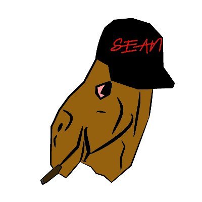 High-end streetwear & lifestyle brand for the fashionably enlightened individuals in urban communities worldwide! Follow us on FB @Seancamel1