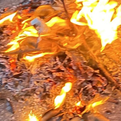 CjGodzilla07's profile picture. 