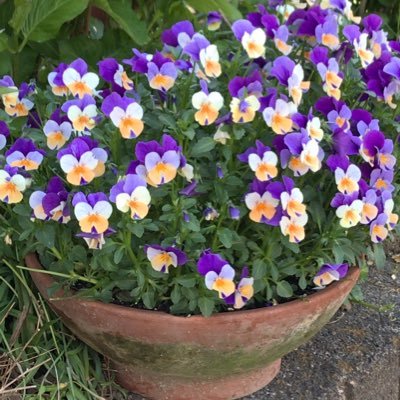 increas6520817's profile picture. 