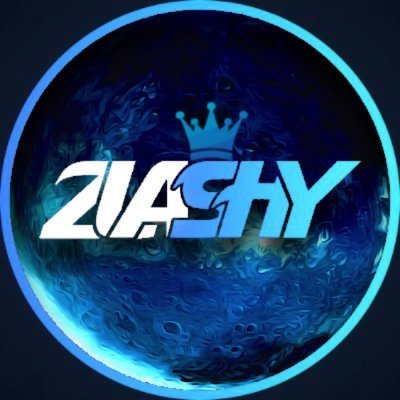 Code Zlashy