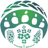 UofA IMDSA (@uofa_imdsa) 's Twitter Profile