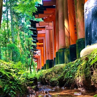 S215c's profile picture. 🥩