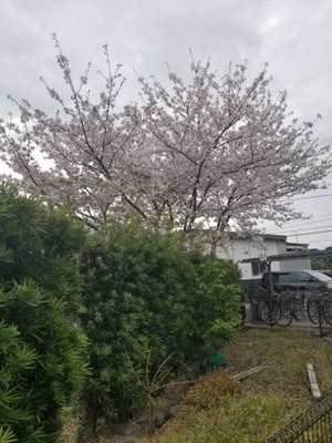 h6g_aj1's profile picture. 他人の強みを合わせることによって短所を補う

趣味垢　@keroro_Admiral