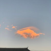 Yang Teng (@yangteng_) 's Twitter Profile