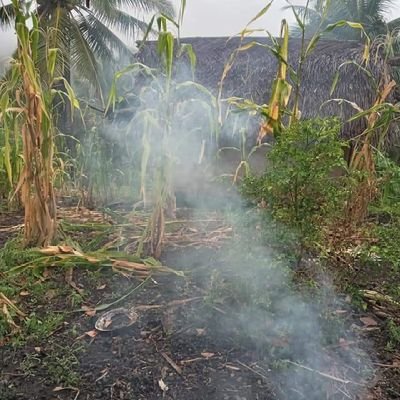 SyahrilHaris2's profile picture. Tidak ada