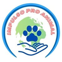 Impulso Pro Animal (@improanimal) 's Twitter Profile