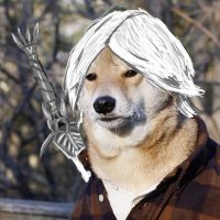 jxrdx (@jordolarten) 's Twitter Profile