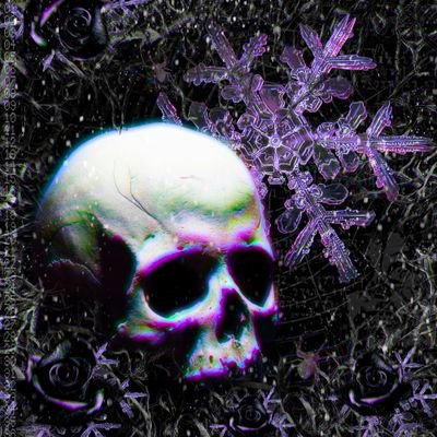 Joeysnow666's profile picture. S N O W / / S O C I E T Y