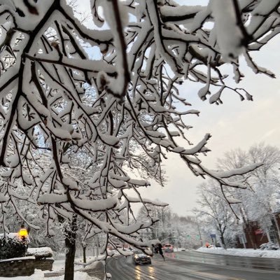 luluyez91's profile picture. 