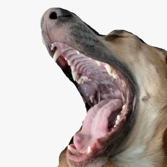 riiverboii's profile picture. 🪷 Do 🪷 Good 🪷 Be 🪷 Good 🪷 Let music carry you through the rest. Porter, Griz and Mac carry me 🙏🏻💙💛💗🙏🏻 #communitycare