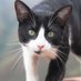 Paz (@pazpaz1938) Twitter profile photo Paz (@pazpaz1938) Twitter profile photo