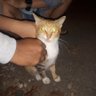 vikkyloberto's profile picture. anak kemaren sore
