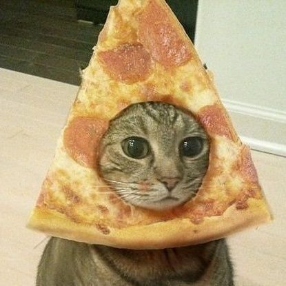 iwholee's profile picture. 