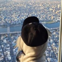 SONO28 (@sonokazu28) 's Twitter Profile Photo SONO28 (@sonokazu28) 's Twitter Profile Photo