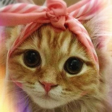 Crazycat_fx's profile picture. I think trading can be satisfied with just the basics of the trade.

※令和からとくに投資初心者levelを狙った投資投機胴元業者や組織的ペテン師詐欺仲間集団も蔓延しているから注意ですよ!　←定期的にX休眠に至る理由 (嫌気がさす)/投機極道ネコ科🐾