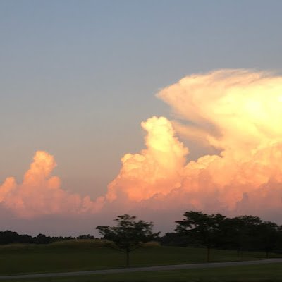 shreddwords's profile picture. I'm all about truth and accepting reality . The hard part is , ( it's all in our minds ! )
with that use your mind and make it great it's up to us , game on !