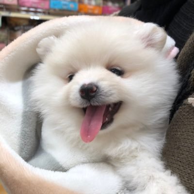 ina8729314's profile picture. 