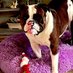 Gibbs - Olde English Bulldog (@gibbsoldebulldo) Twitter profile photo Gibbs - Olde English Bulldog (@gibbsoldebulldo) Twitter profile photo