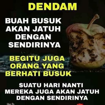 deedeeberounk's profile picture. is my life