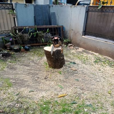 sampoerna's profile picture. 