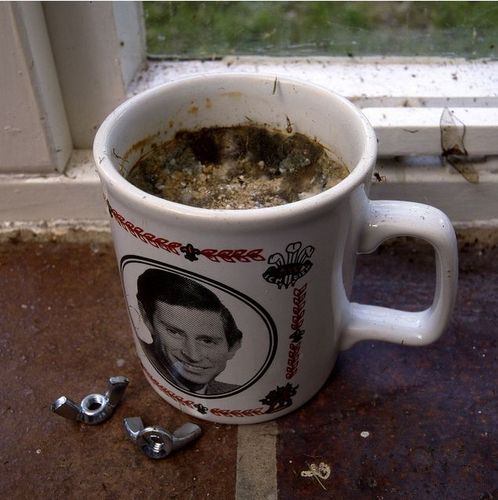 Fckedupflatmate's profile picture. You don't want to live with me.