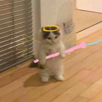 Potato (@vielraven) 's Twitter Profile