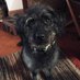 Joyce Anderson (@joyce2rubydubby) Twitter profile photo Joyce Anderson (@joyce2rubydubby) Twitter profile photo