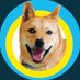 ピースワンコ・ジャパン (@peacewankojapan) Twitter profile photo ピースワンコ・ジャパン (@peacewankojapan) Twitter profile photo