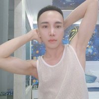 Huy (@vuthanhhuyv1) 's Twitter Profile