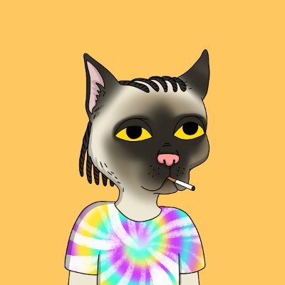 JaredsVault's profile picture. Media Student| Web 3.0| NFT Expert