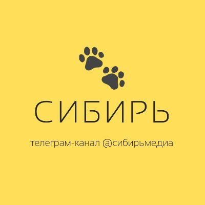 Телеграм-канал журналистов из Новосибирска, которые отказались от работы в редакциях ради независимого проекта