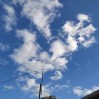T Tanaka (@ctikjzlu3tn8dhc) 's Twitter Profile